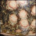  dappled / spotted / striped glaze 