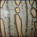  dappled / spotted / striped glaze 