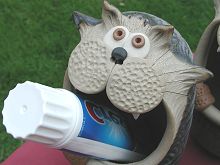  Cat Toothbrush Holder 