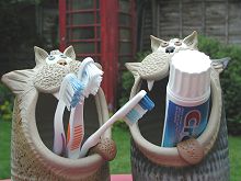  Cat Toothbrush Holder 