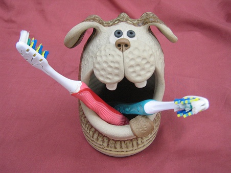  Dog Toothbrush Holder 