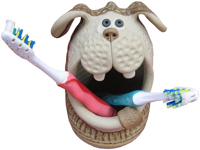  Dog Toothbrush Holder 