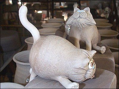  catbanks drying 